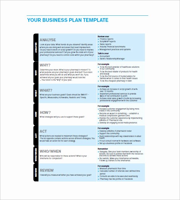 Data Analysis Plan Template Lovely Business Action Plan Template 7 Word Excel Pdf format