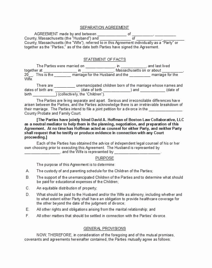 Divorce Agreement Template Free New 43 Ficial Separation Agreement Templates Letters