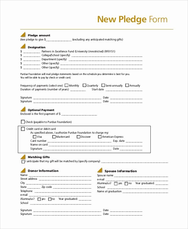 Donation Pledge form Template New 8 Sample Pledge forms Pdf Word