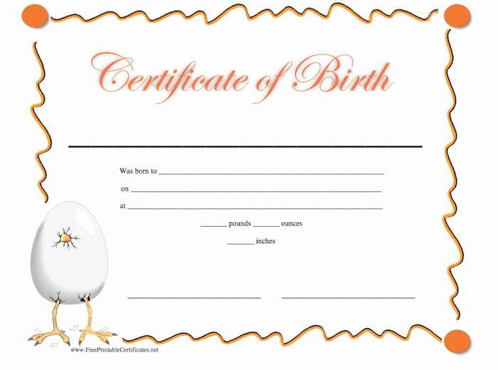 Editable Birth Certificate Template Best Of Blank Certificates