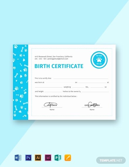 Editable Birth Certificate Template Unique 15 Free Birth Certificate Templates [download Ready Made