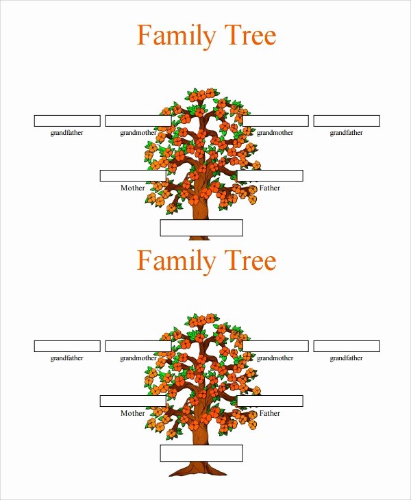 Editable Family Tree Template Word Unique Sample 3 Generation Family Tree Template 6 Documents In