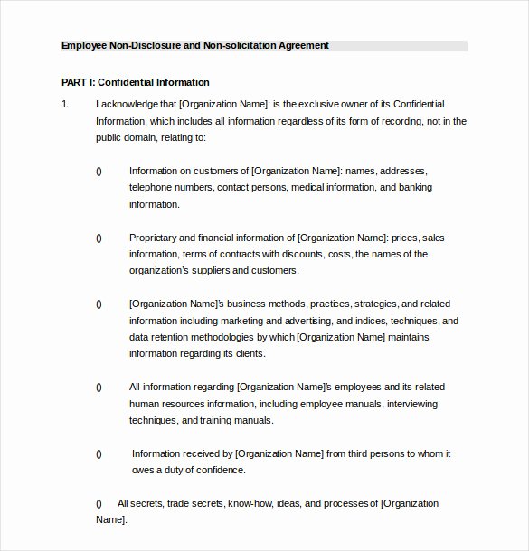 Employment Agreement Template Word Awesome 24 Employee Agreement Templates – Word Pdf Apple Pages