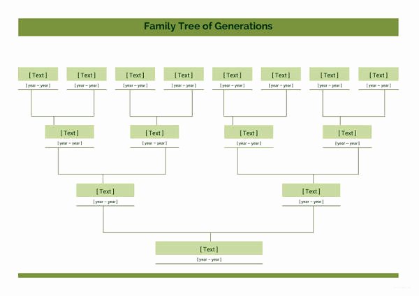Excel Family Tree Templates Fresh Simple Family Tree Template 27 Free Word Excel Pdf