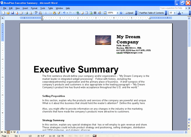 Executive Summary Template Microsoft Word Awesome 43 Free Executive Summary Templates In Word Excel Pdf