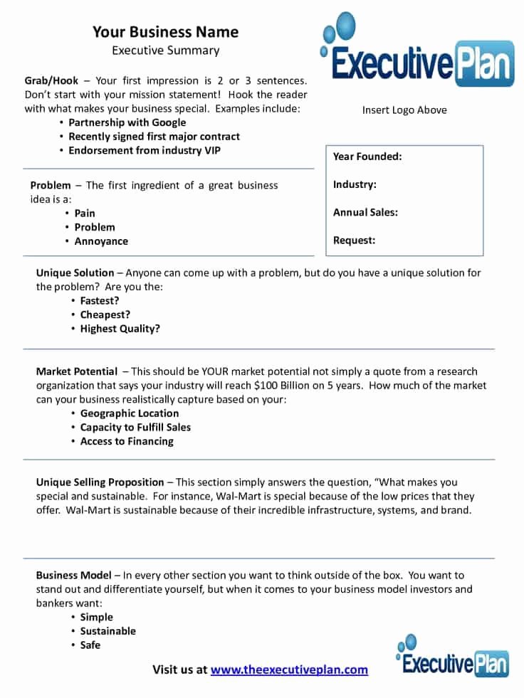 Executive Summary Template Microsoft Word Lovely 43 Free Executive Summary Templates In Word Excel Pdf