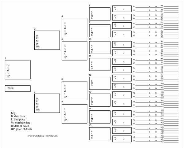 Family Tree Template Free Awesome Blank Family Tree Template 31 Free Word Pdf Documents