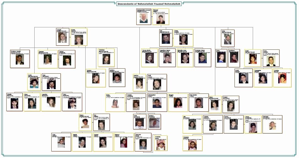 Family Tree Template with Photos Luxury Family Tree Template Family Tree Maker Tlxgixtc