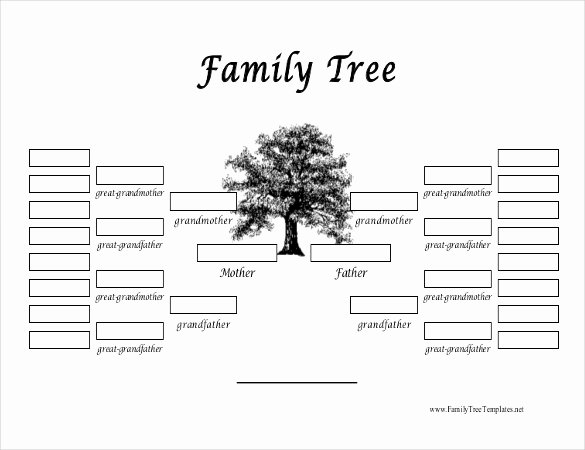 Family Tree Templates Excel Unique 35 Family Tree Templates Word Pdf Psd Apple Pages