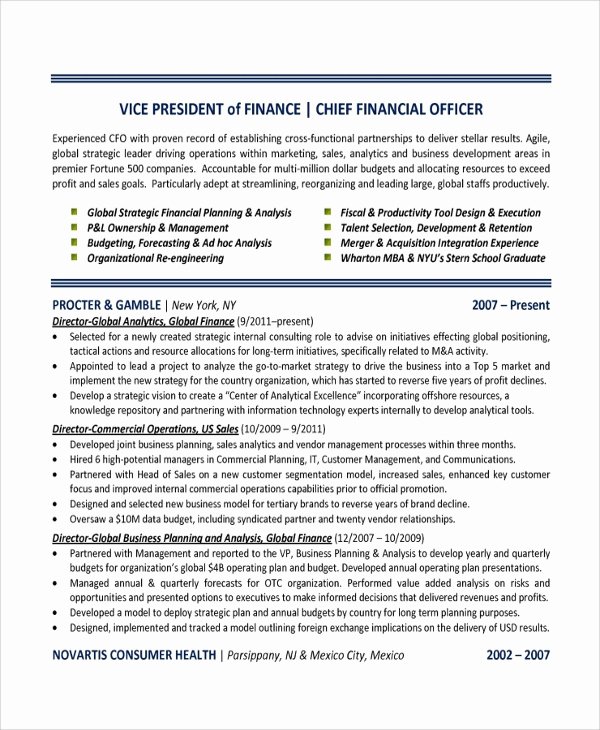 Finance Resume Template Word New Sample Finance Resume Template 7 Free Documents