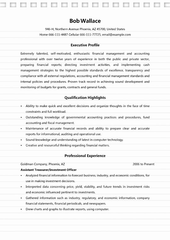 Finance Resume Template Word Unique 4 Finance Manager Resume Sample Ms Word C format