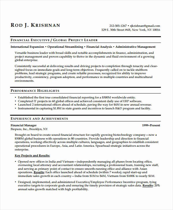 Finance Resume Template Word Unique Professional Executive Resume Template 35 Word Pdf