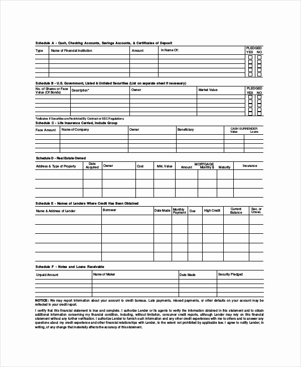 Financial Statement Template Word Lovely Financial Statement Template 12 Free Word Excel Pdf