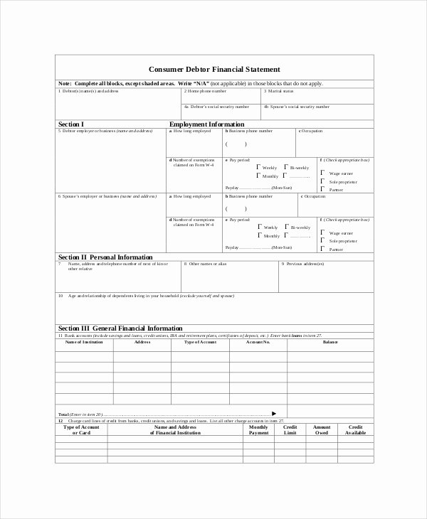 Financial Statement Template Word New Financial Statement Template 12 Free Word Excel Pdf