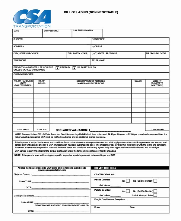 Free Bill Of Lading Template Best Of Simple Bill Of Lading Template 11 Free Word Pdf
