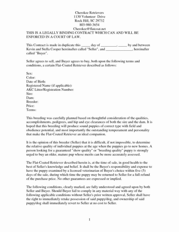 Free Consulting Agreement Template Best Of Free Consulting Agreement Template