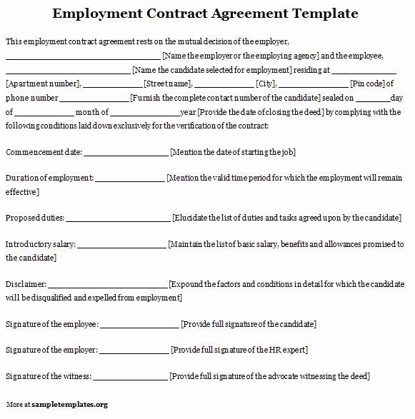 Free Employment Contract Template Word Unique Free Printable Employment Contract Sample form Generic