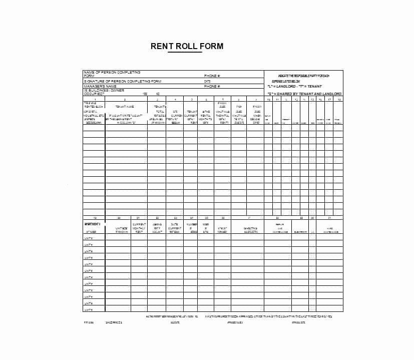 Free Excel Rent Roll Template Beautiful 47 Rent Roll Templates &amp; forms Template Archive