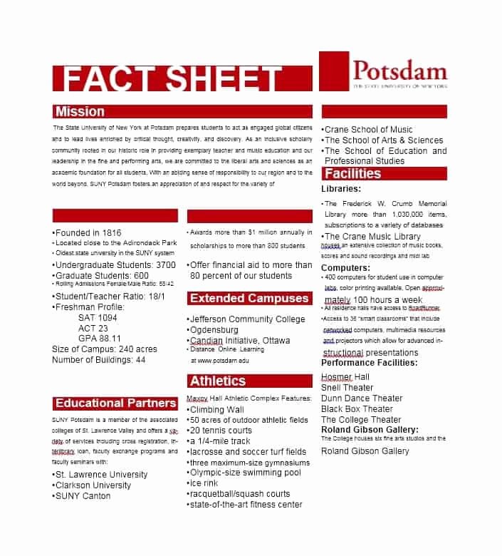 Free Fact Sheet Template New 10 Fact Sheet Templates Excel Pdf formats
