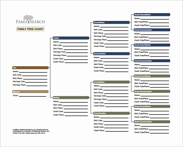 Free Family Tree Template Excel Best Of 8 Family Tree Chart Template Free Word Excel Pdf