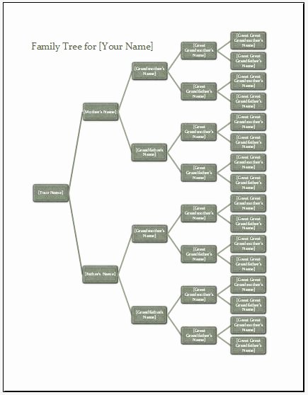 Free Family Tree Template Excel Best Of Prehensive Family Tree with Details Template for Excel