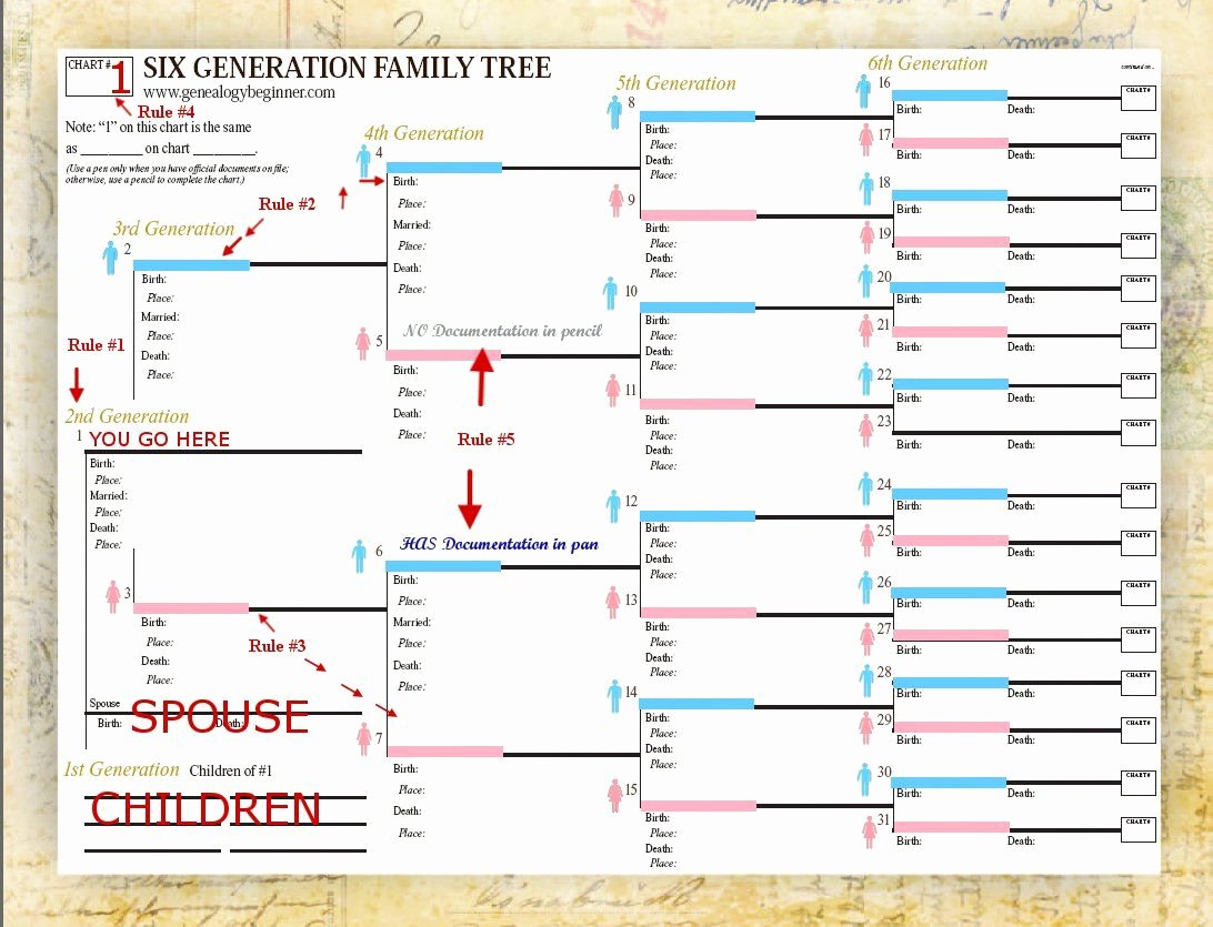 Free Family Tree Template Lovely Use Smartdraw S Included Family Tree Templates to Easily