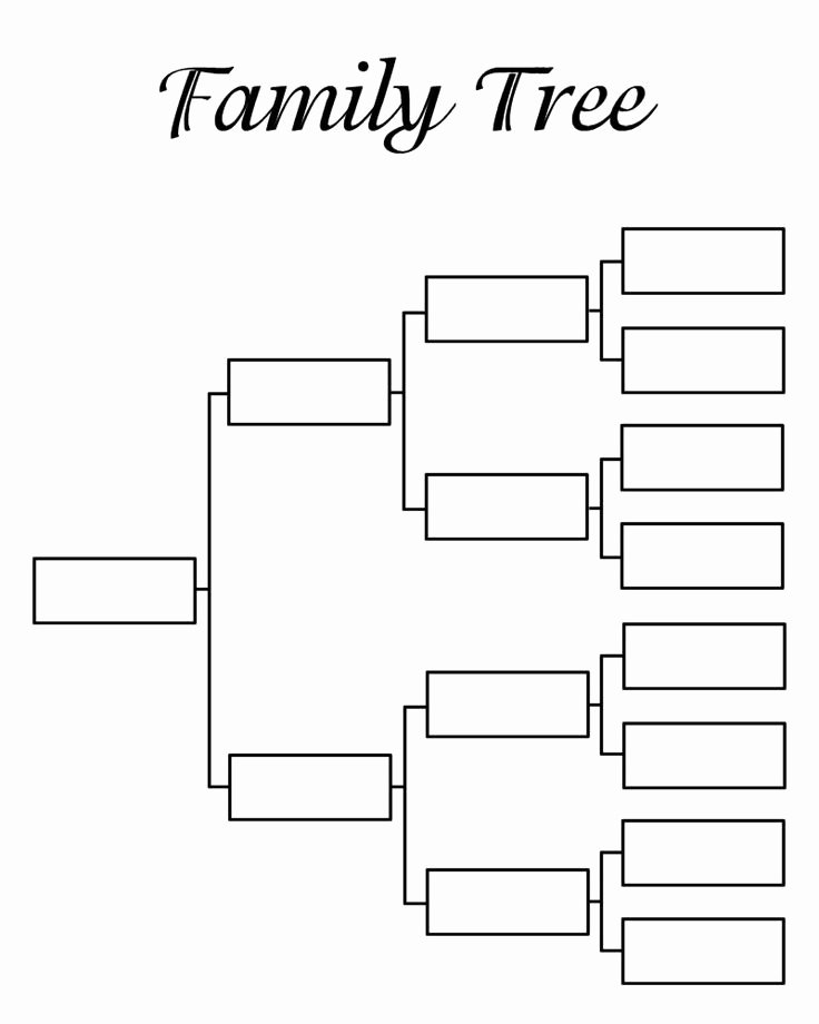 Free Family Tree Template New where Can You Find A Printable Family Tree Template
