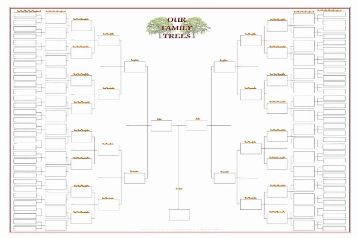 Free Family Tree Templates Best Of One Branch Family Tree Chart Template