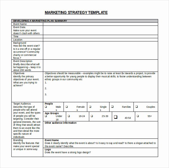 Free Marketing Plan Template Word Inspirational 13 Strategy Templates Microsoft Word Free Download
