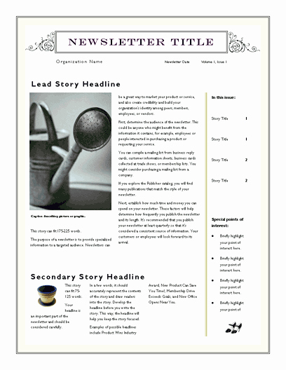 Free Office Newsletter Templates Best Of Free Newsletter Template for Word 2007 and Later