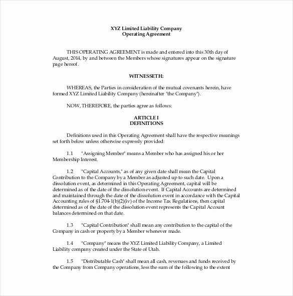 Free Operating Agreement Template Fresh Operating Agreement Template 12 Free Word Pdf Document