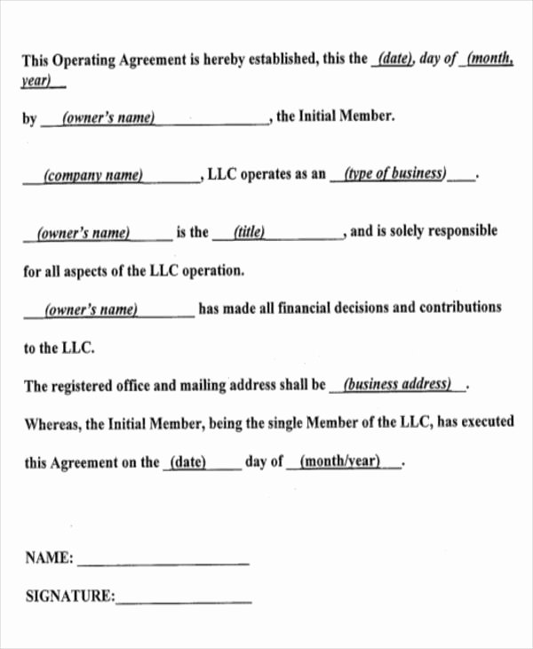 Free Operating Agreement Template Inspirational 14 Operating Agreements Samples Examples Pdf Google