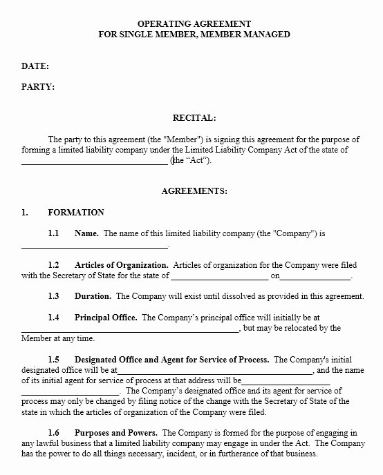 Free Operating Agreement Template Luxury 13 Free Sample Operating Agreement Templates Printable