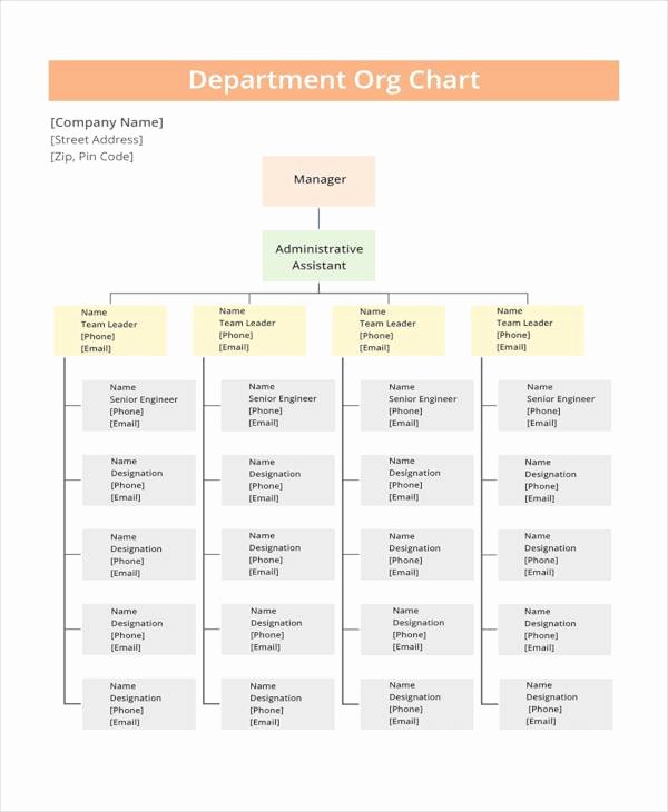 Free organizational Chart Template Unique 17 Sample organizational Chart Templates Pdf Word Excel