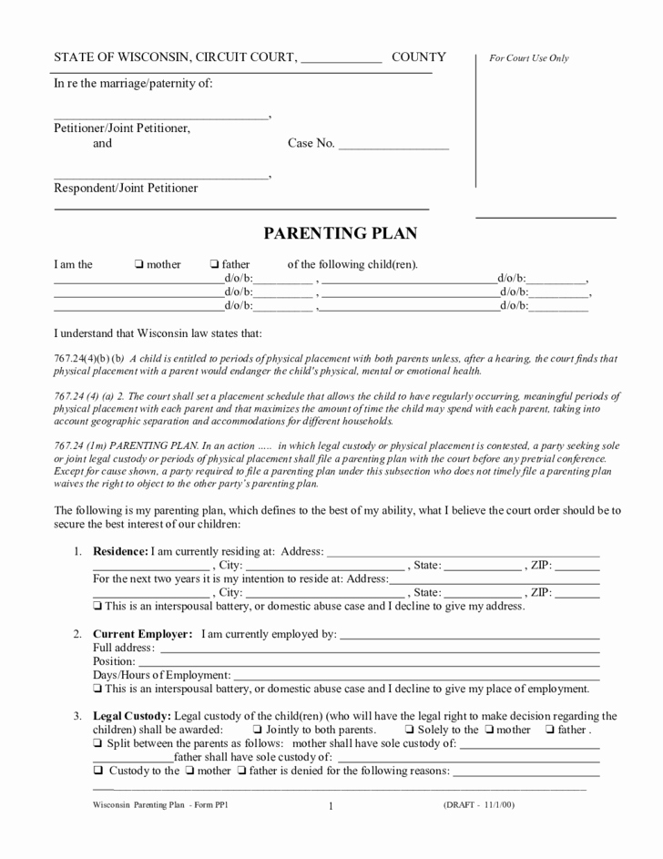 free parenting plan template wisconsin