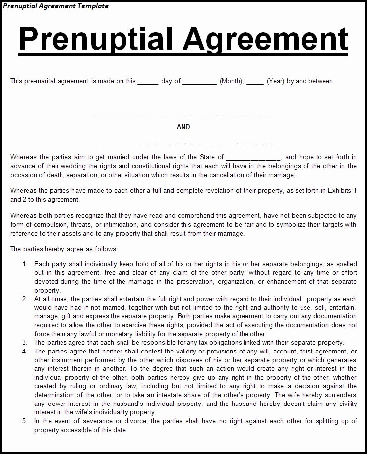 Free Prenup Agreement Template Unique Screenwriter S Prenuptial Agreement