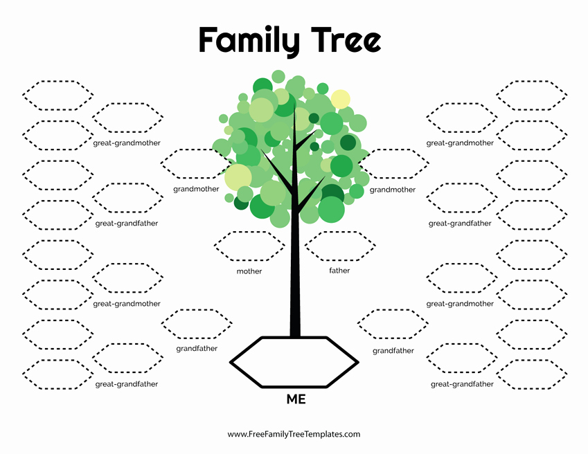Free Printable Family Tree Template Awesome 5 Generation Family Tree Template – Free Family Tree Templates