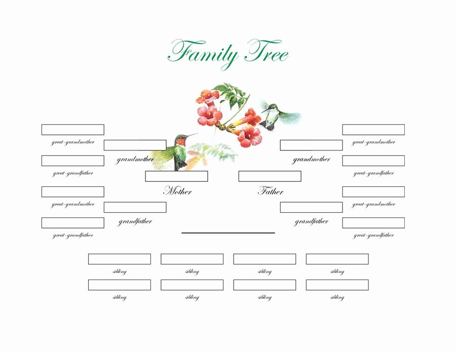 Free Printable Family Tree Template Lovely Family Tree Diagram Printable
