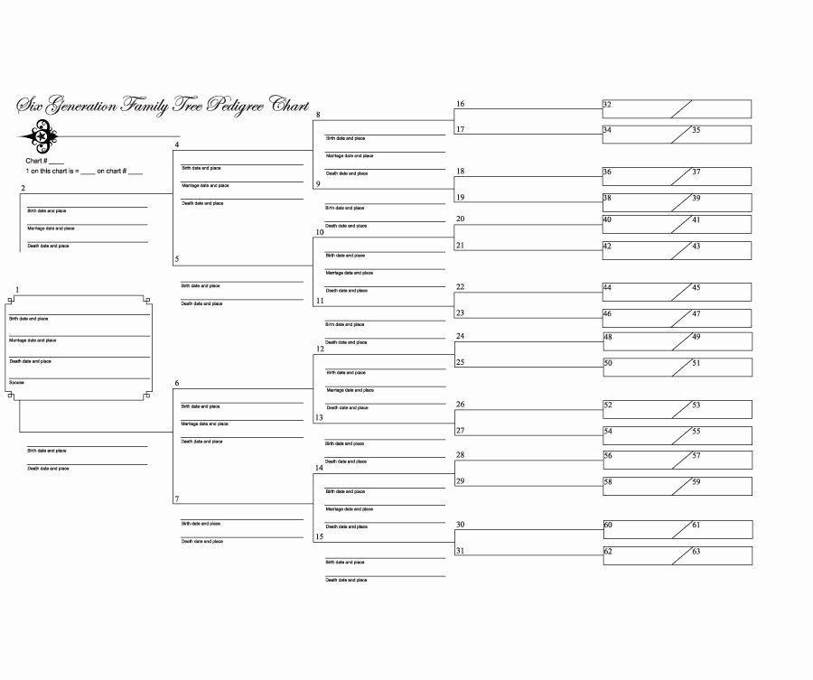 Free Printable Family Tree Template New 50 Free Family Tree Templates Word Excel Pdf