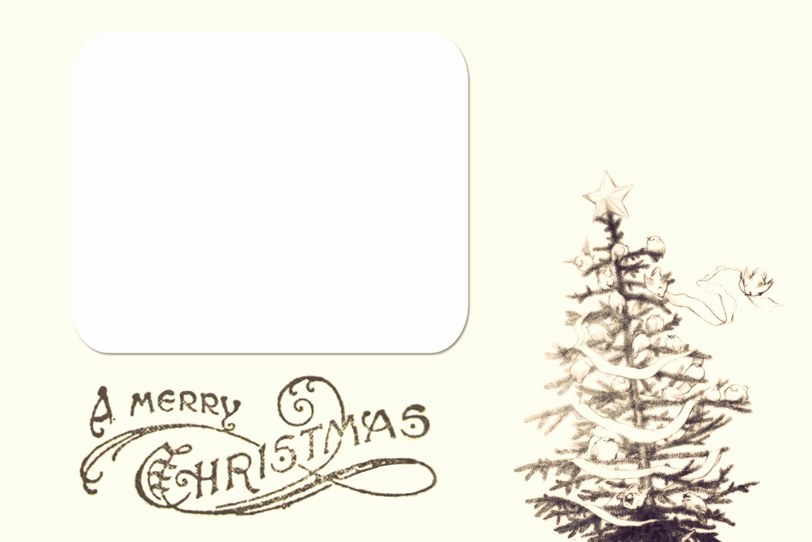 Free Printable Postcard Templates Beautiful Chloe Moore Graphy the Blog Free Christmas Card