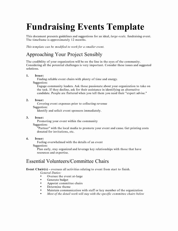 Fundraising Plan Template Excel Awesome Fundraising event Bud Spreadsheet Excel Google Search