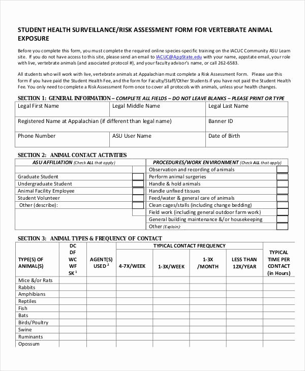 Health Risk assessment Questionnaire Template Beautiful Free 40 Risk assessment Examples In Pdf Doc