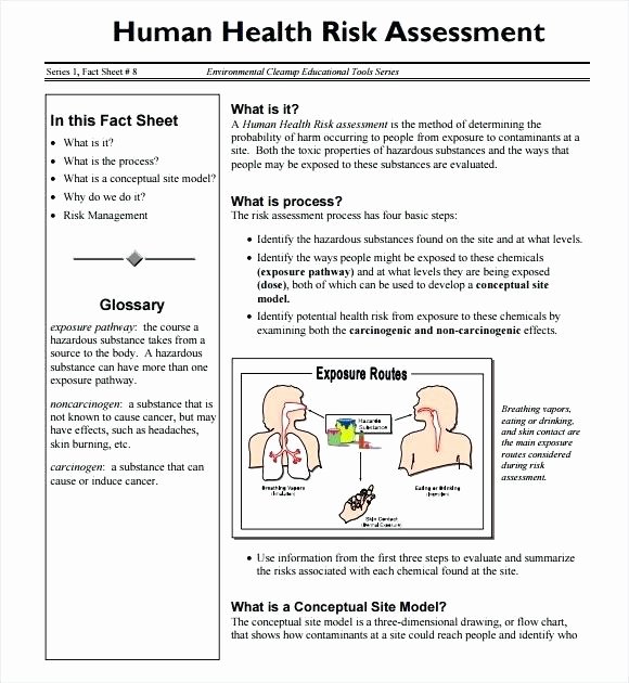Health Risk assessment Questionnaire Template Beautiful Health assessment Template