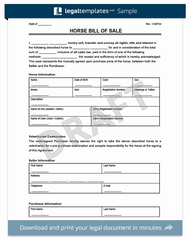 Horse Bill Of Sale Template Best Of Create A Firearm Bill Of Sale form