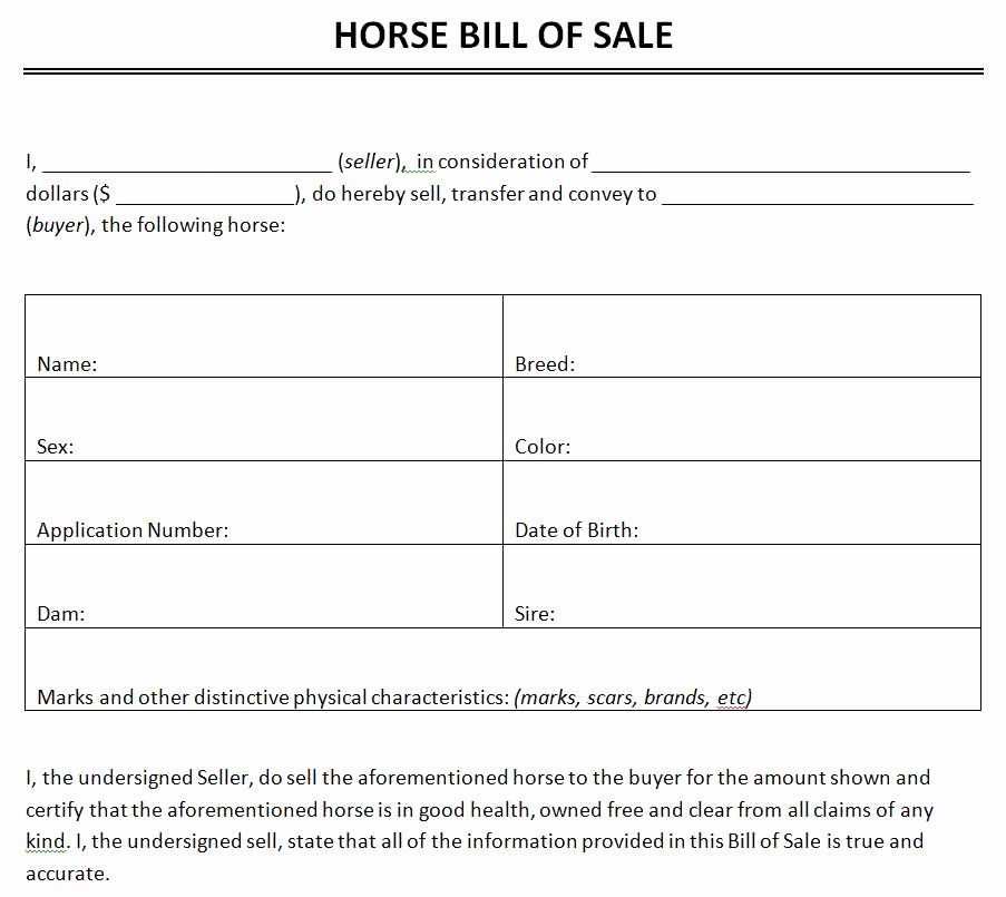 Horse Bill Of Sale Template Elegant Free Horse Bill Sale Template