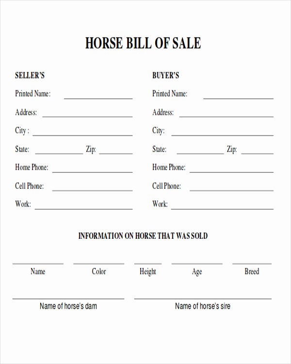 Horse Bill Of Sale Template Fresh 9 Horse Bill Of Sale Examples In Word Pdf