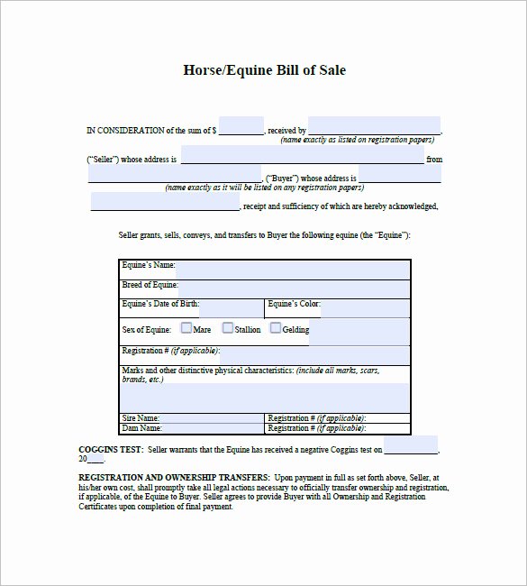 Horse Bill Of Sale Template Fresh Horse Bill Of Sale – 8 Free Sample Example format