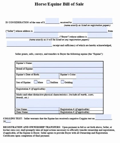Horse Bill Of Sale Template Lovely Free Horse Equine Bill Of Sale form Pdf
