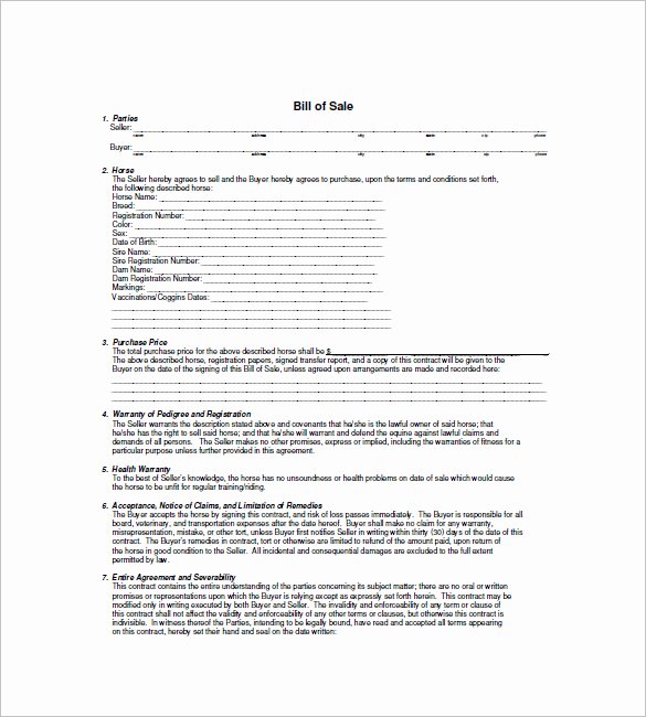 Horse Bill Of Sale Template Lovely Horse Bill Of Sale – 8 Free Sample Example format