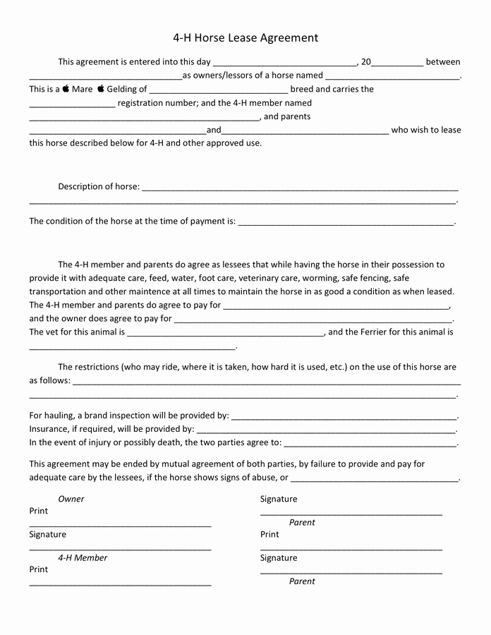 Horse Lease Agreement Template Beautiful 4 H Horse Lease Agreement form In Word and Pdf formats